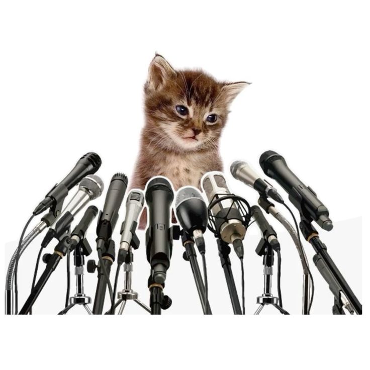 ИИ-собеседование глазами кандидата: разбираем процесс по шагам